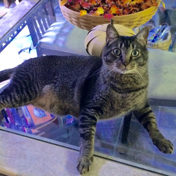 Meet your Posher, Carrie - Picture 1 of 2